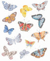 Cartie (Butterfly) - Milagro Collective
