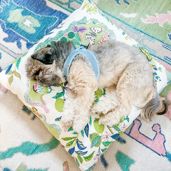 Palmer - Milagro Collective