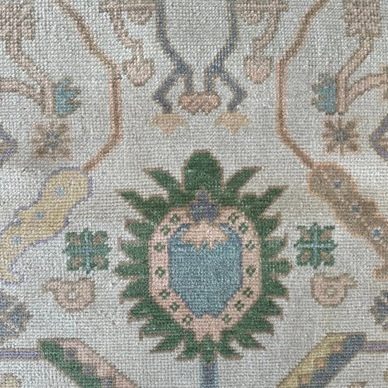 Rex New Production Pre-Order