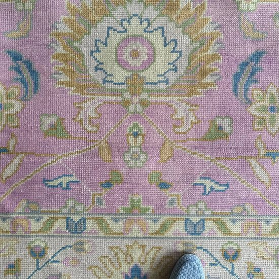 Sofia New Production Pre-Order