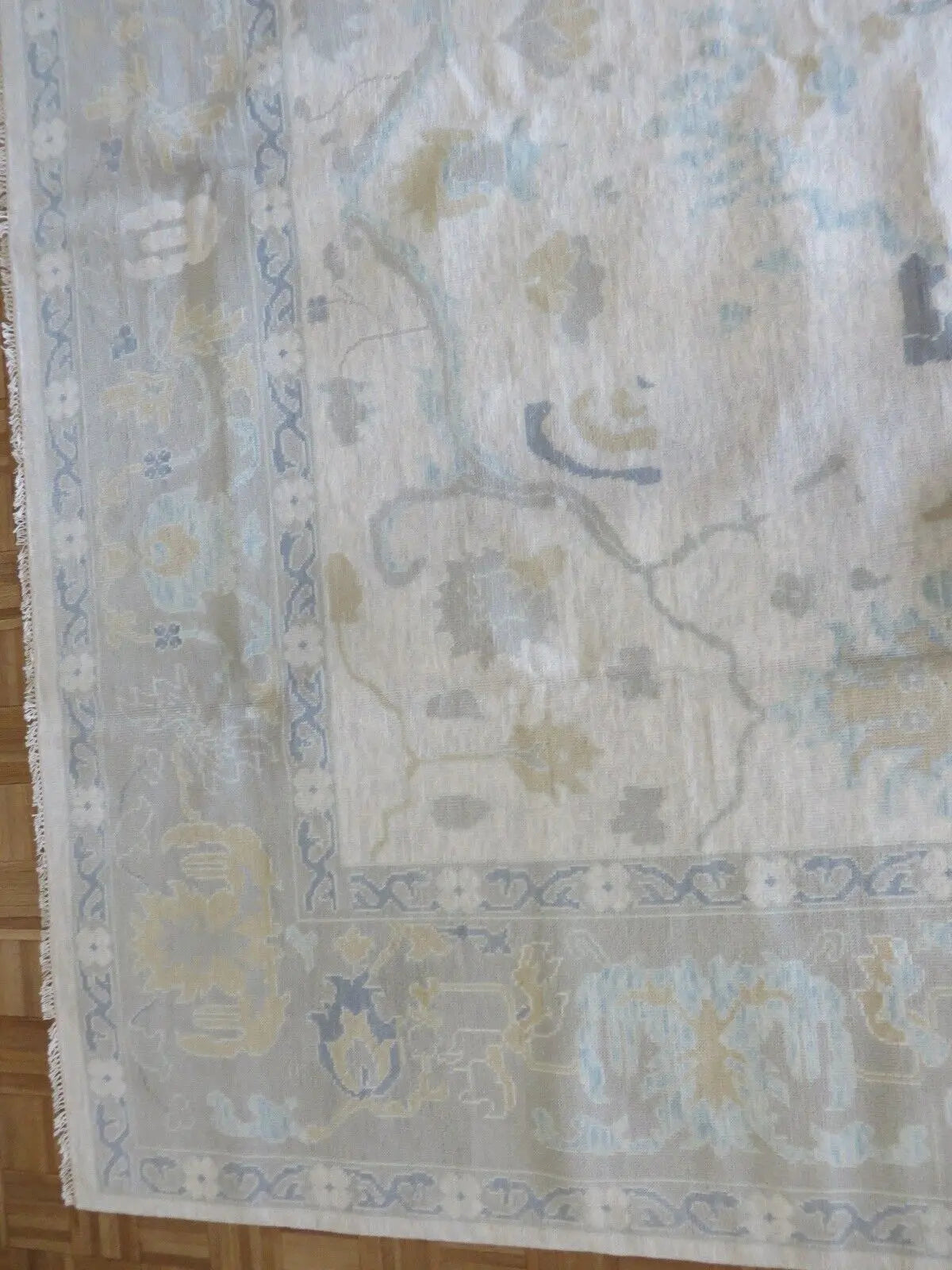 Archie 10 x 14 (in stock) - Milagro Collective