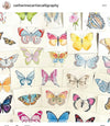 Cartie (Butterfly) - Milagro Collective