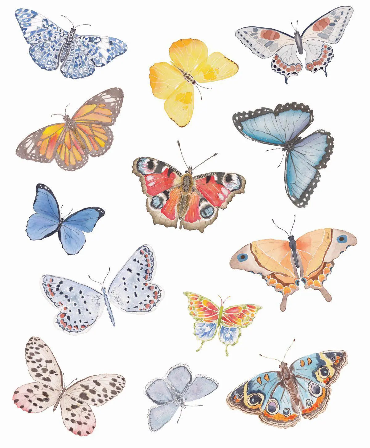 Cartie (Butterfly) - Milagro Collective