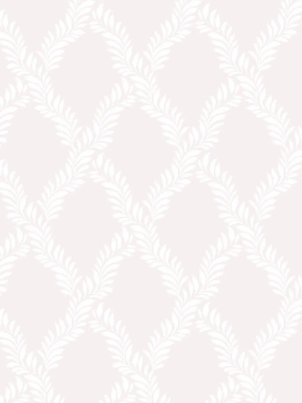 Ivy League Milagro Collective