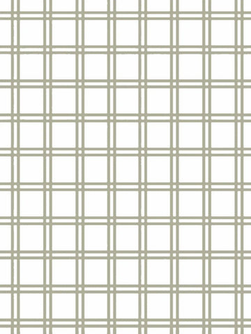 Plaid to the Bone Milagro Collective