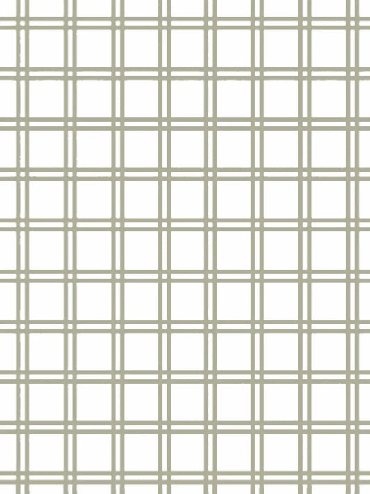 Plaid to the Bone Milagro Collective