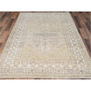 Soybean Anatolian 5 x 7 (in stock)