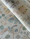 Rex New Production Pre-Order