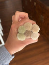 Rosehill New Production Pre-Order
