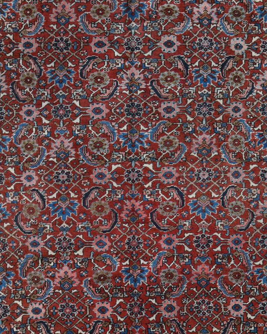 Constance 7 x 10 (in stock)